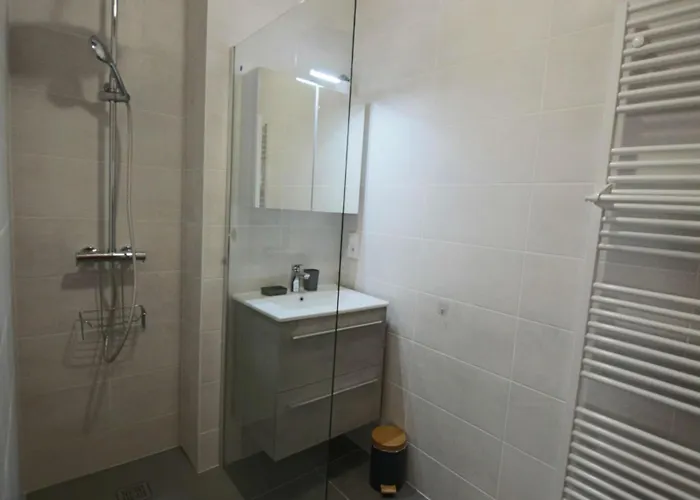 T2 55 M2 Et Garage Aix-les-Bains